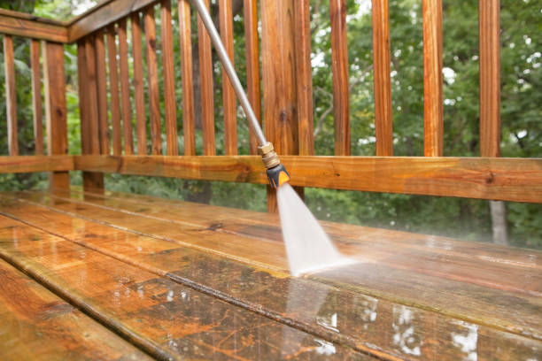 Best Rust Removal  in Palm City, FL